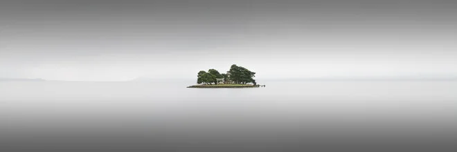 Photo art featuring a minimalist view of a Torii surrounded by water and trees in Japan