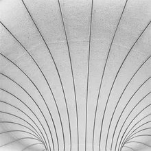 Schwarz-Weiß Fotokunst von Alexander Kraft: Pilzstruktur in Licht und Schatten