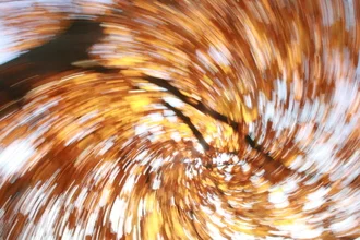 Photo art by Timo Tamm: autumn swirls in gentle colors