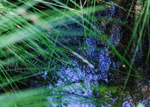 Black moor with gentle waves and reflective patches of grass.