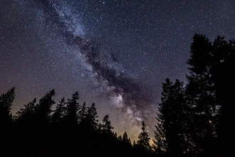 Photo art by Oliver Henze: Milky Way above a serene forest under a starry sky