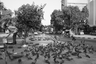 Jagdev Singh, Pigeons
