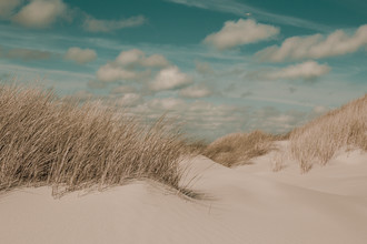 Holger Nimtz, dunes - Germany, Europe)