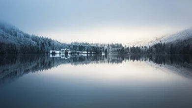 Photo art featuring snow-covered conifers and calm water in winter