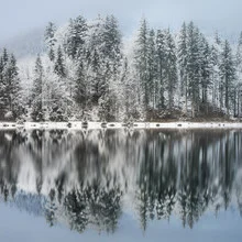 Photo art by Hannes Ka: winter landscape with treeline and reflecting lake
