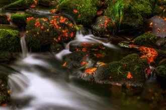 Photo art depicting a peaceful autumn scene with leaves and water in Goyt Valley.
