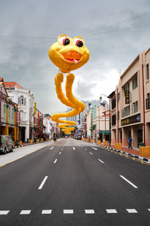Arno Simons, Singapore Dragon