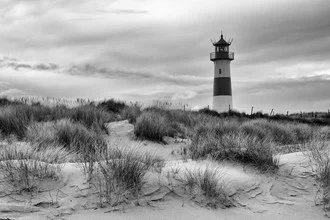 Photo art by Wenka-maria Hagemeister: serene lighthouse in a monochrome landscape