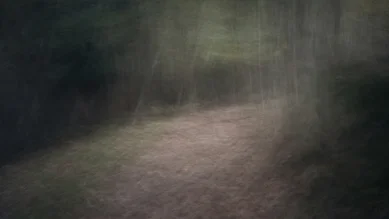 Photo art by Raffaella Castagnoli: blurred green forest scene with moving elements