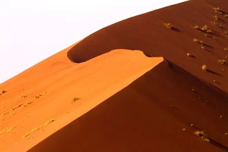 Wunderschöne Dünenlandschaft in Namibia mit sanften roten Sandhügeln.