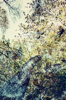 Photo art by Nadja Jacke: colorful autumn pattern with leaves and sky.