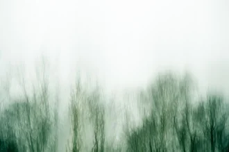 Fotokunst von Gregor Ingenhoven: Blick auf Baumkronen im dichten Wald, sanfte Farben und Lichtspiele.