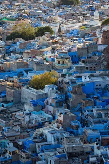 Fotokunst von Sebastian Rost: Blick auf die blaue Stadt Jodhpur in Indien.