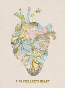 Illustration von Bianca Green: Anatomisches Herz mit Weltkarte und Reisemotiven.