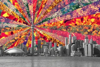 Wall art by Bianca Green: colorful flowers above Toronto's skyline