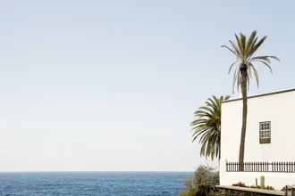 Photo art by Daniel Schoenen: tranquil scene with palm trees and ocean view