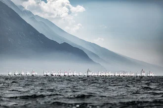 Gardasee - Fineart photography by Sebastian Rost