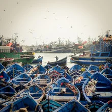 Photo by Marco Entchev: fishing boats in the harbor of Morocco
