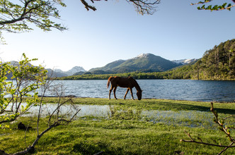 Marco Entchev, Patagonia - Horse (Argentina, Latin America and Caribbean)