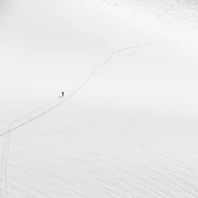Wall art: calm snowy landscape, vast and solitary, with gentle shadows