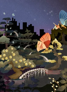 Illustration by Amalia Restrepo: butterflies surrounded by bonsais under stars.