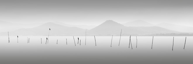Ronny Behnert, Four Birds - Lago Trasimeno Italien