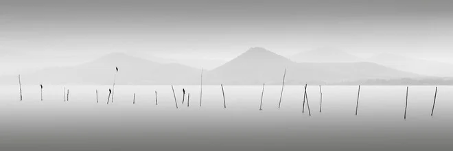Fotokunst von Ronny Behnert: vier Vögel über dem Lago Trasimeno in Italien