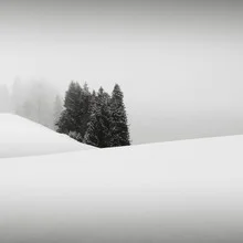 Photo art by Ronny Behnert: tranquil winter landscape with snow-covered fir trees