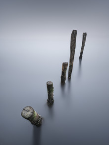 Ronny Behnert, Cinque - Venedig