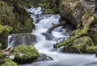 Sanfter Bachlauf mit cremigem Wasser, umgeben von grünen Bäumen