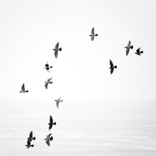 Holger Nimtz, Freedom - Spain, Europe)