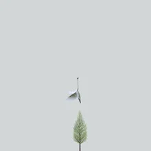 Photo art by Caterina Theoharidou: harmonious lines and soft colors