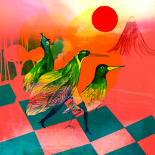 Alexandra Sternin, Bird parade