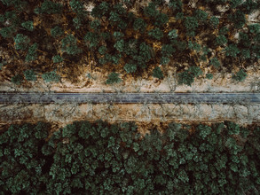 Steven Ritzer, Road in Brandenburg - Germany, Europe)