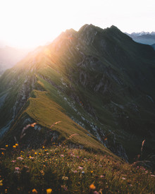 Philipp Heigel, SUNNY MORNING. (Switzerland, Europe)
