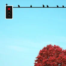 Fotokunst von Pascal Krumm: Tauben unter einer Ampel im urbanen Umfeld Chiles