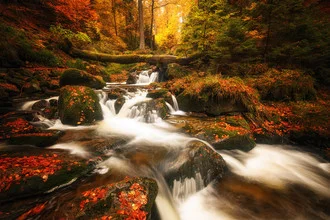 Wasserfall in goldenem Herbstlicht, umgeben von sanften Felsen im Wald.