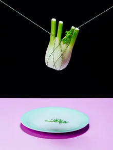 Minimalist photo art: a plate with fennel in a calm composition