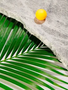 Photo art by Stéphane Dupin: minimalist still life with a green palm leaf