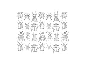 Catalina Villegas, Ink Scarabs