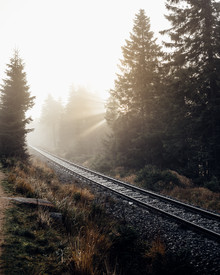 Oliver Henze, Rays for days - Sunrise on the way to Brocken (Germany, Europe)