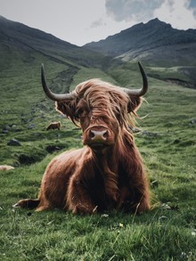 Dominic Lars, Trendy Hair - Faroe Islands, Europe)