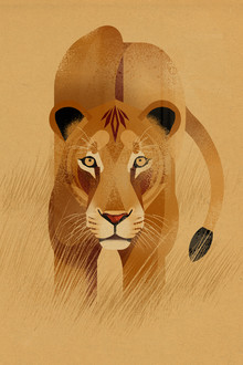 Dieter Braun, Lioness
