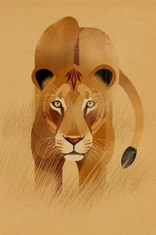 Illustration of a lioness by Dieter Braun, soft lines and warm colors