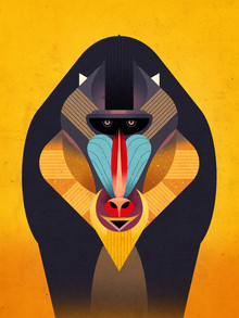Dieter Braun, Mandrill