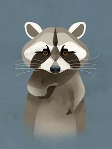 Waschbär - fotokunst von Dieter Braun