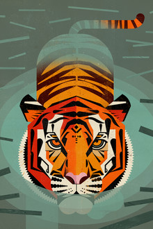 Dieter Braun, Tiger - Deutschland, Europa)