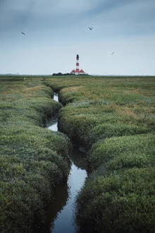Photo art by Maximilian Fischer: serene coastal landscape with lighthouse and salt marshes