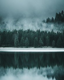 Luca Jaenichen, Forest Reflection - Österreich, Europa)