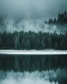 Forest reflection on Lake Plansee in Austria, calm atmosphere with soft colors
